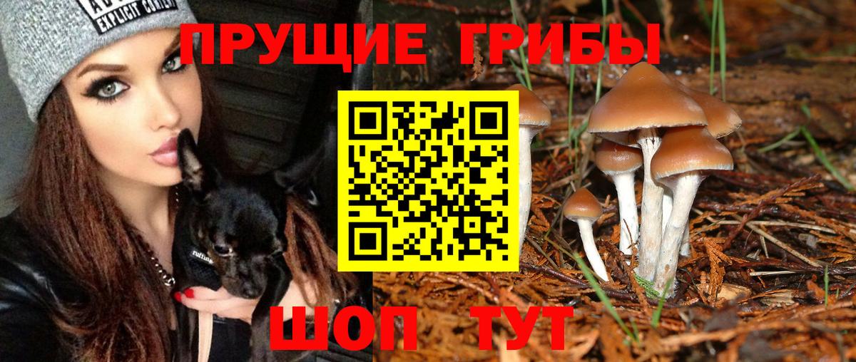 Галлюциногенные грибы Cubensis  Вход с VPN  Люберцы 