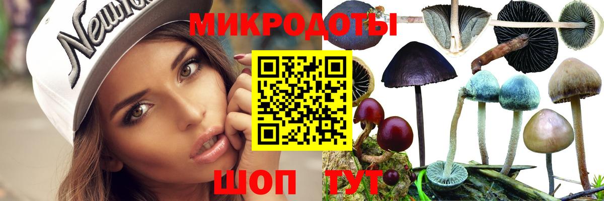 Галлюциногенные грибы прущие грибы Люберцы